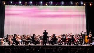 Symphony No2 I Allegro moderato  Borodin [upl. by Tillo]