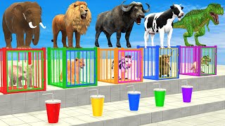 Cow Elephant Lion Gorilla T Rex Dont Choose The Wrong Drink CHALLENGE Animals Cage Game 3D [upl. by Aikimat]