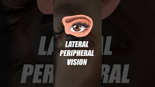 Lateral Peripheral Vision shorts shipramaam [upl. by Wehner]