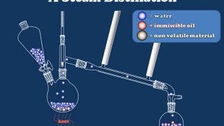 How Steam Distillation Works [upl. by Woodhead470]