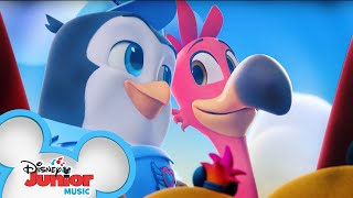 Pip and Freddys Favorite Music Videos 🐧  Compilation  TOTS  Disney Junior [upl. by Amyas671]