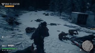 DAYS GONE New Game Berley Lake Horde [upl. by Light]