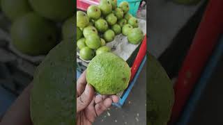 Guava benefits shortvideo manthena healthtips ytshorts [upl. by Martineau]