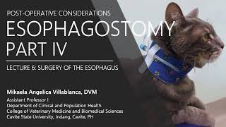 Lecture 610 Esophagostomy IV Post operative Considerations [upl. by Ysabel]