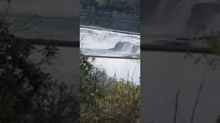 Willamette Falls [upl. by Brelje]