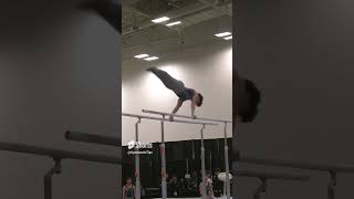 Xander Hong on Parallel Bars  2024 Elite Team Cup parallelbars [upl. by Casper316]