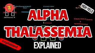 AlphaTHALASSEMIA Pathogenesis Electrophoresis Clinical symptoms for USMLE [upl. by Demetrius]