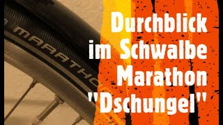 Schwalbe Marathon Reifen welches ist das beste Modell korrigierte Version [upl. by Baptiste435]