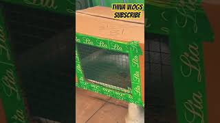 How to make cardboard box cage viral trending pets dove nature cagebirds cardboard craft [upl. by Naujak553]