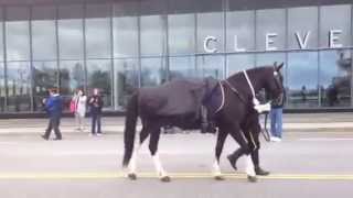 Riderless Horse Police Memorial Parade 2014 [upl. by Aisaim661]