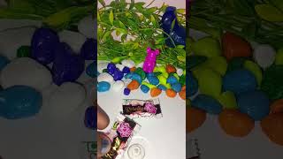 Rosella chocolate shorts youtubeshorts viralvideo chocolate [upl. by Annaitsirk]