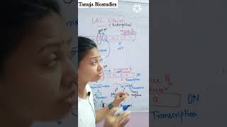 Ch6  LAC Operon  Gene Regulation in Prokaryotes  Class 12 BiologyNEET  shorts [upl. by Yesnil]