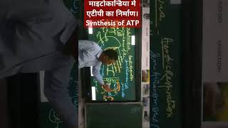 Synthesis of ATP in Mitochondria [upl. by Jarin]