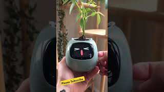 Plant pot gadgets plantaddict goodthing plantlove smartphone plantmoma robot plantmomma [upl. by Putnem]