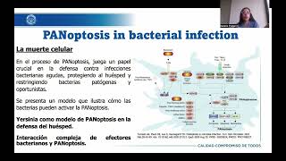 PANoptosis en infecciones microbianas  Inmunología II [upl. by Louella]