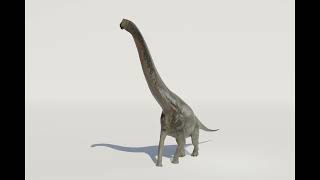 Giraffatitan brancai Walk Cycle  WIP Test [upl. by Nollek476]