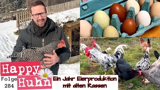 Ein Jahr Eierproduktion mit alten Hühnerrassen  Ein Fazit  HAPPY HUHN Folge 283  Hühner für Eier [upl. by Finbur34]