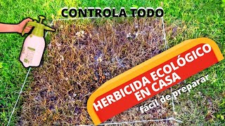 Cómo Preparar Un HERBICIDA CASERO NATURAL 100 ECOLÓGICO  Herbicida Orgánico [upl. by Zetrauq546]