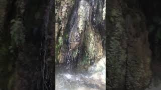 cascadas de Tamasopo SLP hermoso lugar cascaditas [upl. by Chainey259]