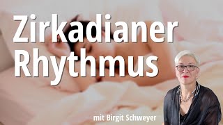 Innere Uhr und Zirkadianer Rhythmus mit Birgit Schweyer  Satte Sache Podcast [upl. by Melcher754]