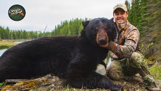 Black Bear Hunts Vol1  Best Of  Canada in the Rough ULTIMATE Bear Hunting Compilation [upl. by Berstine516]