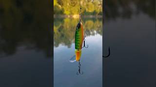 Whopper Plopper 🌊 🎣 fishing lure lurefishing fishingvideo crazy shorts popular pesca fy [upl. by Sprung380]