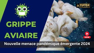 Grippe aviaire  Nouvelle menace pandémique émergente 2024 [upl. by Haelak111]