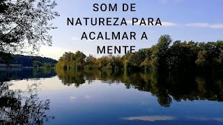 Som de Natureza para acalmar a mente [upl. by Lyons]