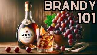 Brandy amp Cognac 101 Beginner Liquor Guide 🍇 [upl. by Norramic]