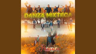 Danza Mixteca [upl. by Hasila28]