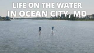 Exploring OCMD  Life By The Beach  Life Of An Ocean City Maryland Local [upl. by Howlond]