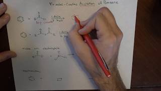 Friedel Crafts Acylation and Akylation [upl. by Brott366]