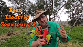 Electric Secateur Review Best Electric Secateurs Lets find out [upl. by Haidej]