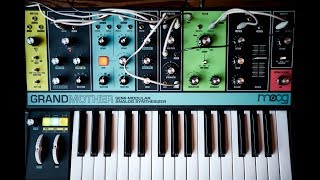 The Build amp Sound of the Moog Grandmother  Demo and Overview with Eric Church and Mark Crowley [upl. by Anisirhc]