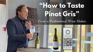 Pinot Gris Wine Tasting  Pinot Gris Guide From Passage Rock [upl. by Ebert903]