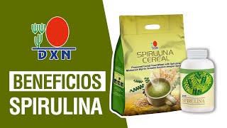 BENEFICIOS DE LA SPIRULINA DXN [upl. by Jeu628]