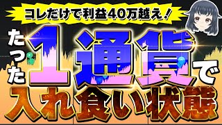 【入れ食いバイナリー】もう1通貨だけで大丈夫です。コレだけで利益40万越え！【ハイローオーストラリア】 [upl. by Guinevere]