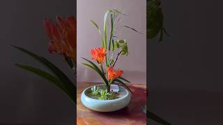 2 Beautiful Orchids Flower Arrangement in a Low Bowl Vase [upl. by Enilav179]