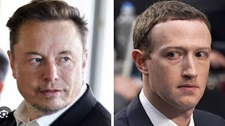 Elon Musk amp Mark Zuckerberg Finally Agree [upl. by Kisung]