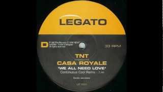 TNT presents Casa Royale  We All Need Love Continuous Cool Remix [upl. by Aynekat795]