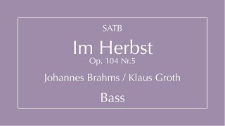 Im Herbst  Brahms  Bass [upl. by Viviene518]