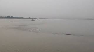 randommonday School of Birds on the river Irrawaddy [upl. by Meakem411]