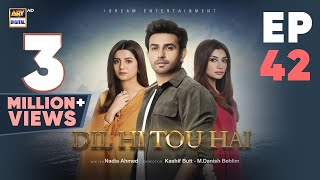 Dil Hi Tou Hai Episode 42  Ali Ansari  Zoya Nasir  18 Nov 2023  ARY Digital [upl. by Anej]