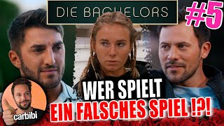 Wer ist nur da für Bachelor in Paradise  Die Bachelors 5 [upl. by Oinafipe539]