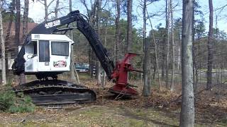 Amazing Tree Removal Feller Buncher Excavator  Tree Clearing [upl. by Seline]