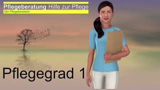 Pflegegrad 1 [upl. by Noicpesnoc]