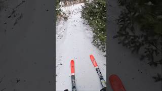 Finding SECRET trail at GORE MOUNTAIN🤫 [upl. by Eeldarb]