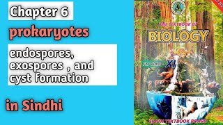 Bacterial spores and cyst formation class 11 biology Sindh board chapter 6 prokaryotes [upl. by Fabiola916]