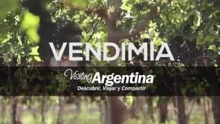 Visiting Argentina  Fiesta Nacional de la Vendimia 2015 [upl. by Dearman709]