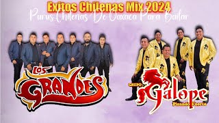 Bailando con las Mejores Puras Chilenas de 2024 con Grupo Galope [upl. by Enneirdna]